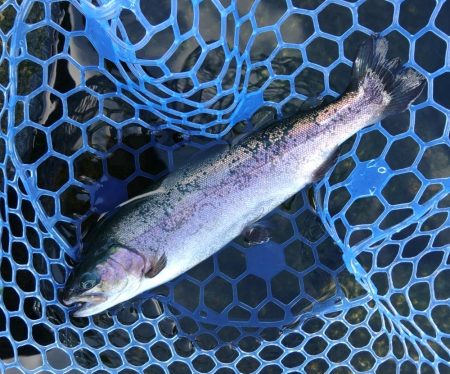 三桁釣果に大物もキャッチ！